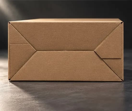 3-Ply Ice Cream Box example 4